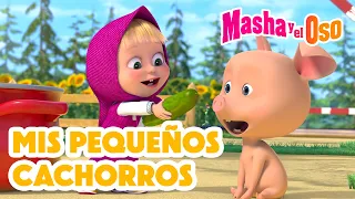 🐾🥰 Mis pequeños cachorros 🤍🏡 Colección de dibujos animados 📺 Masha y el Oso Castellano