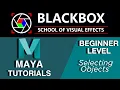 Maya For Beginners 06 Selecting Objects in Maya