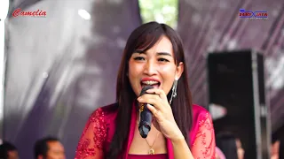 Download CAMELIA - BERSABARLAH - RIA ANDIKA - WEDDING SELVI \u0026 DEFRI - KANCILAN DEPOK LADOSA MP3