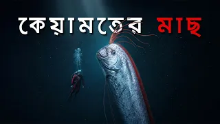 এই মাছটার কোনোকিছুই স্বাভাবিক না! যতবার ভেসে উঠেছে, ঠিক তার কিছুদিন পরেই পৃথিবীতে...