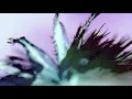Stillhead - Greenland (Telrae M006)
