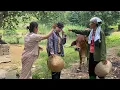 Download Lagu “Ella’s Journey Against Fate, and a CEO Who Left the City for the Countryside”LytieuElla