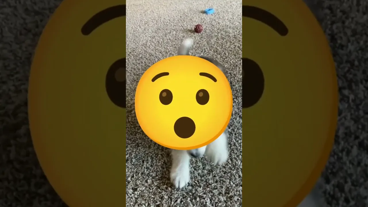 😱🫣🤯