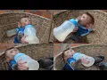 The First Day to See Vet Dad Take Baby Monkeys Coco Bebe Get Injection Drinking Milk