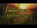Download Lagu WAWA NAELA - BAKUCAK ( lirik )