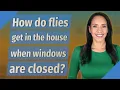 Download Lagu How do flies get in the house when windows are closed?