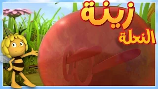 صولجان الملكة   مايا النحلة   كرتون وأفلام للأطفال   أطفال عربي الجميع دندنها