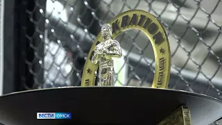В Омске подвели итоги международных соревнований по панкратиону