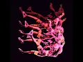 End Of Time (SPINALL Remix)