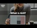 What is GUI Graphical User Interface