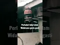 Download Lagu Perkutut lokal alam sepuh kasta suara tertinggi Widaksana gosta gasti