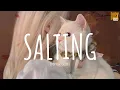 Download Lagu Salting (remix cute) - Rendy Da Silva // (Vietsub + Lyric) Tik Tok Song