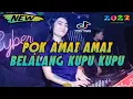 Dj Pok Amai Amai Belalang Kupu Kupu X Menimisu Remix Tiktok Viral Terbaru 2022 Full Bass