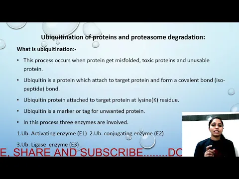 UBIQUITINATION OF PROTEINS 26S PROTEASOME DEGRADATION