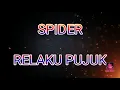 Download Lagu SPIDER - RELAKU PUJUK