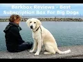 Barkbox Reviews - Best Subscription Box For Big Dogs