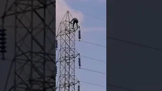 صيانه ابراج الضغط العالي Shorts Shorts 