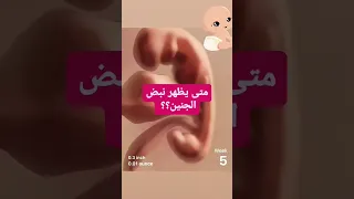 متى يظهر نبض الجنين اثناء الحمل في السونار حوامل حامل الجنين سونار 