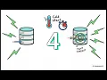 Why Your Serverless Function Times Out at 2am And Nobody Notices