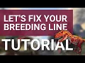 FIX your BREEDING LINES in ARK Survival Evolved