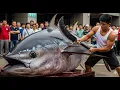 Download Lagu World’s Sharpest Knife vs. 280 KG Giant Bluefin Tuna – Flawless Cuts!