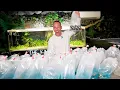 unboxing RARE and EXOTIC fish for my aquariums the king of DIY opens iconic aquatics fish box