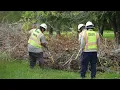 League City Public Works Large Debris Removal
