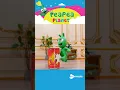 Download Lagu Pea Pea becomes the food king for a day! #peapea #animation #cartoon #shorts