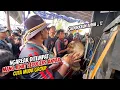 Download Lagu BEDUGERS ANYAR NGAREAK ‼️ DUET KENDANG MANG BUTONG \u0026 MANG JENAT - CUTA MUDA GROUP LUMBUNG RANCAEKEK