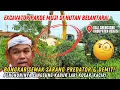 Lagu BONGKAR SEMAK❗EXCAVATOR PAKDE MUJI MASUK HUTAN SARANG PREDATOR DAN DEDEMIT❗PENGHUNINYA PADA KABUR❗