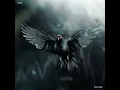 Black Dove - LEVELS