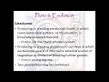 Mars Disseminating Phase Pluto