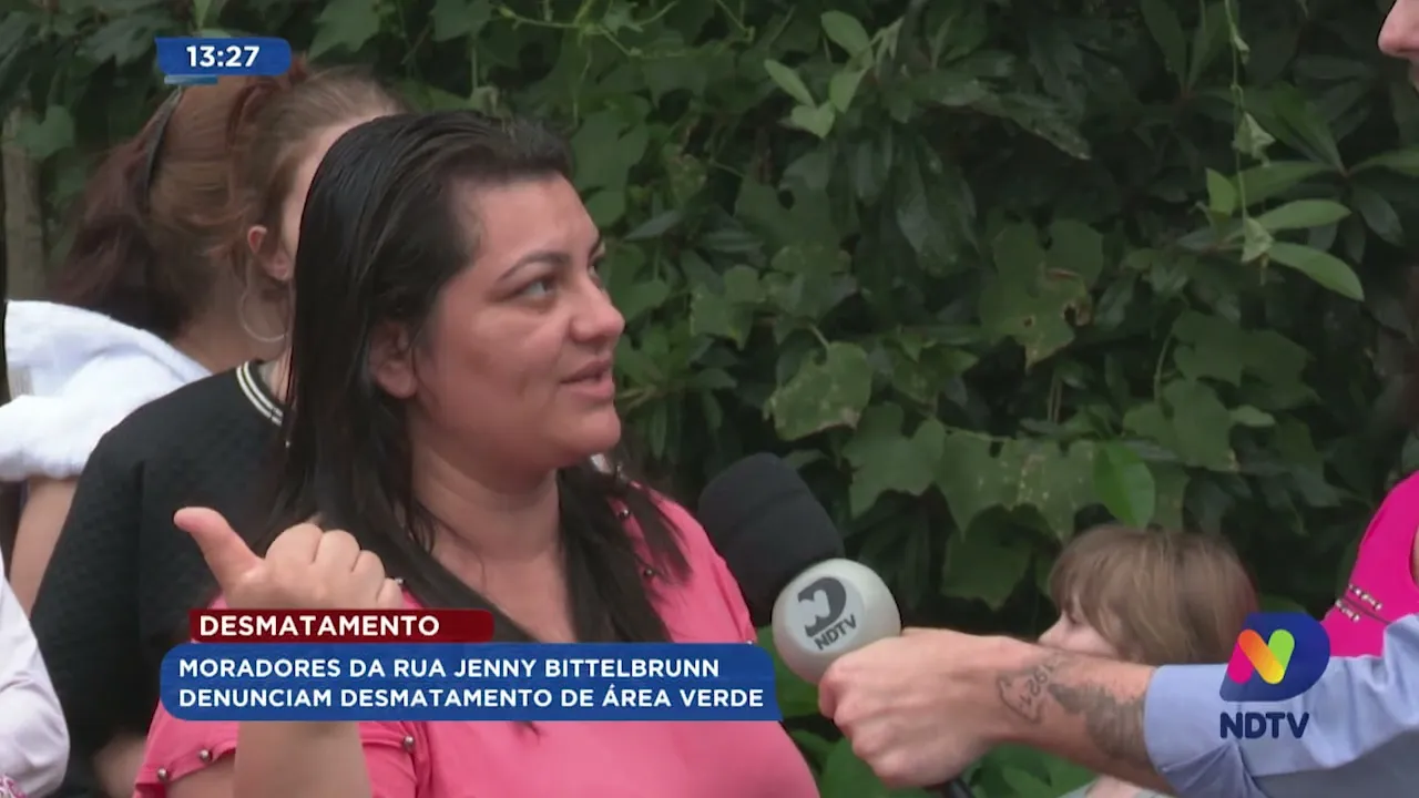 Desmatamento: moradores da rua Jenny Bittelbrunn em Blumenau denunciam desmatamento de área verde