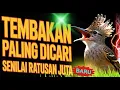 Lagu UJI NYALI KICAUMANIA ‼️ Dengerin Masteran Tembakan Paling GACOR \u0026 NGERI Saat Ini  🐦