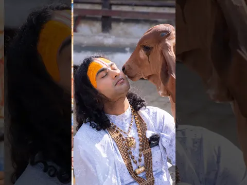अनिरुद्धाचार्य जी महाराज गौशाला में पूजा करते हुए #aniruddhacharyaji #viral #viraltoday