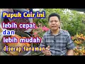 Lagu Cara Membuat Pupuk Organik Cair (POC) Dari Kohe Kambing
