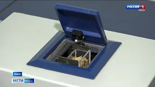 Качество омского зерна нового урожая остаётся на высоком уровне