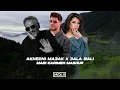 Download Lagu Fadel Chaker x Sherine x Yara - Akhedni Maak x Ala Bali (Madi Karimeh Mashup)