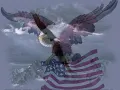 Where the Stars and Stripes and the Eagles Fly