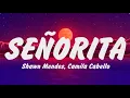 Lagu Shawn Mendes, Camila Cabello Señorita Letra (Lyrics),Sia, Unstoppable,Taylor Swift, Enchanted, Adele