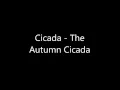 Cicada - The Autumn Cicada