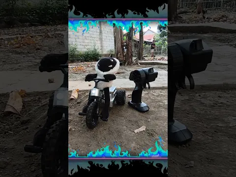 Mainan Rc Shaund The Sheep, Rc Domba Remot