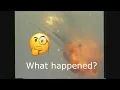 When one line of code costed BILLIONS The Story of Ariane-5 Flight 501