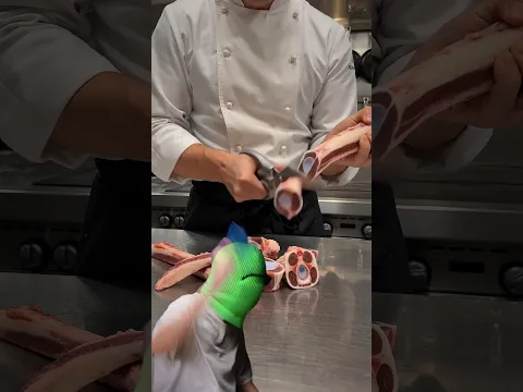 ✂️Scissors VS 🦴Bone