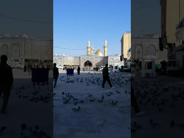 ⁣عند الصباح سلمنا نيابة عنكم على ابي الفضل العباس عليه السلام