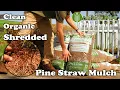 Organic Shredded Pine Straw The Ultimate Upgrade to Hardwood Mulch Bags