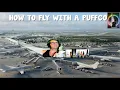 How To Fly On A Plane With A Puffco TSA Flyer s Tutorial Guide