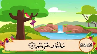 قراءة سورة الملك ١٩ ٢٤ 