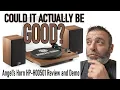 Download Lagu Angel's Horn Turntable Review - Could This Actually Be a GOOD New Vinyl Record Player for a Newbie?