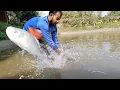 Download Lagu Jaring Pemancingan Paling Populer di Village Pond Net Fishing